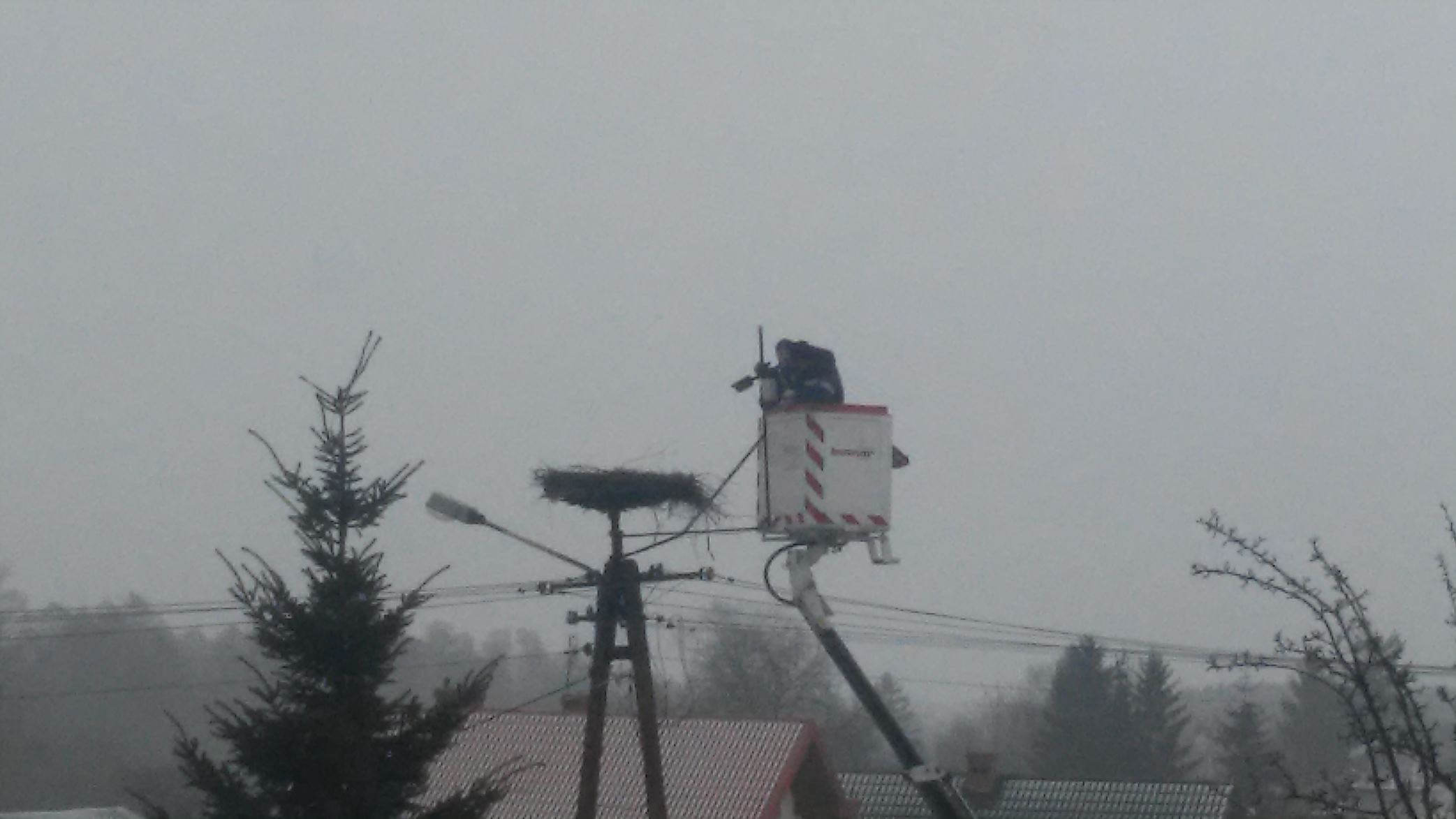 Montaż kamery przy gnieździe