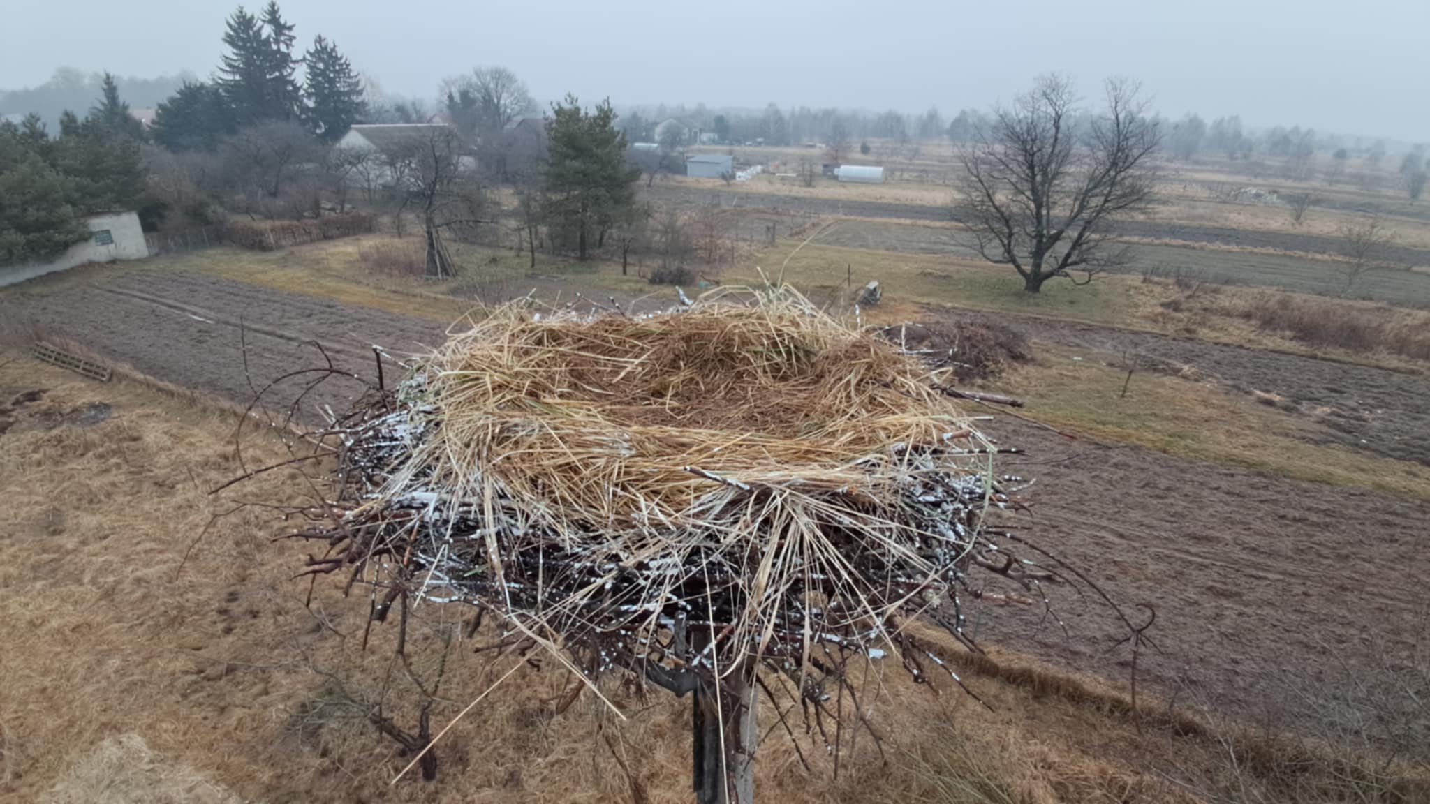 Urządzone nowe gniazdo