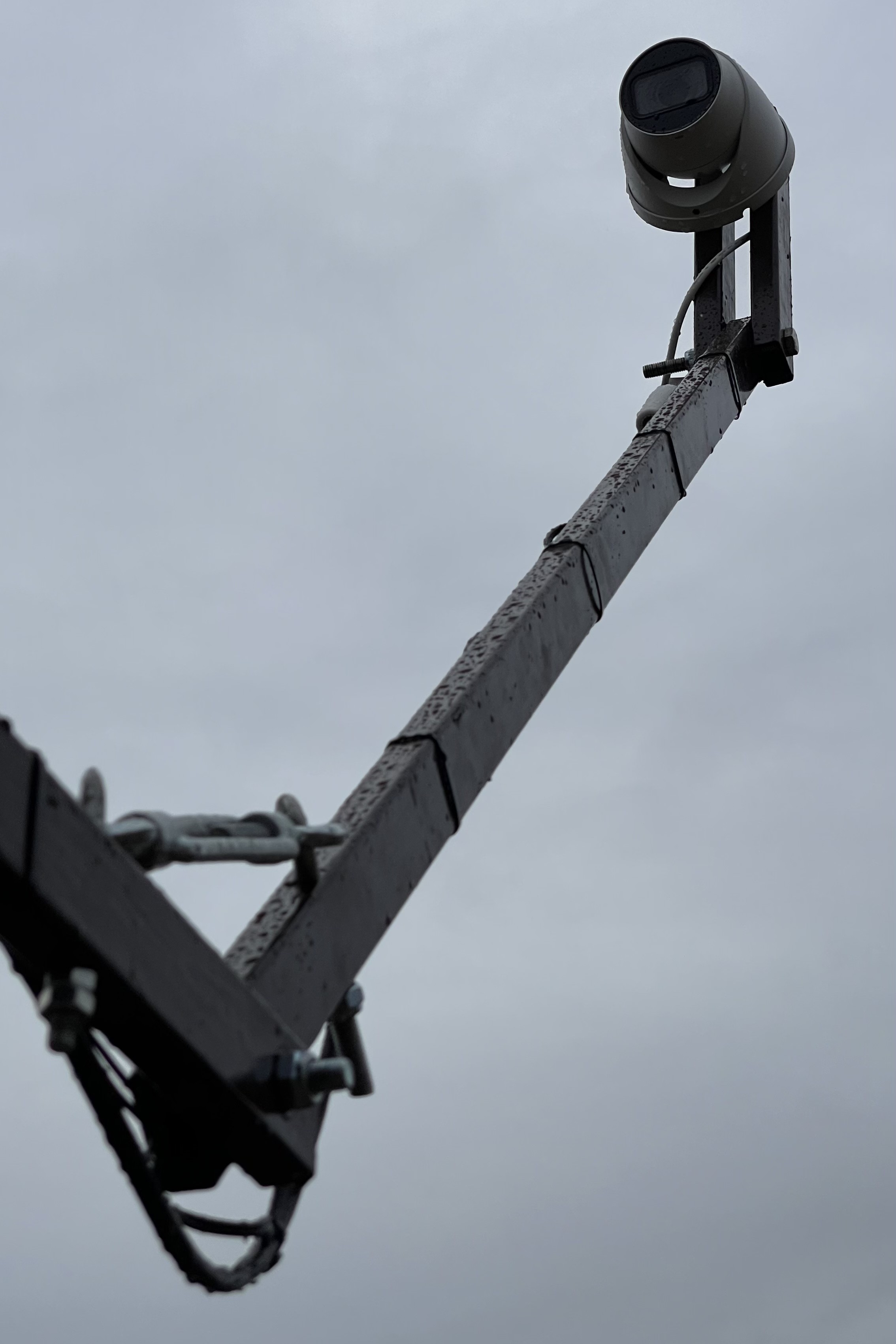 Kamera przy gnieździe